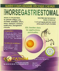 HORSEGASTRIESTOMAL