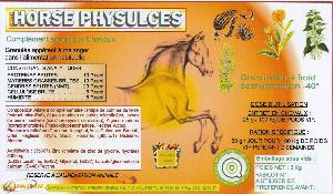 HORSE PHYSULCES