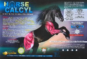 HORSECALCYL