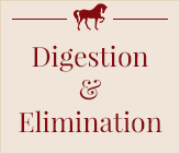 Digestion, élimination, drainage